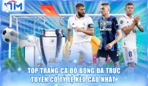 Top trang cá độ bóng đá trực tuyến