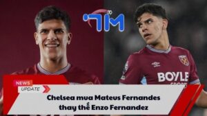 Chelsea mua Mateus Fernandes thay thế Enzo Fernandez